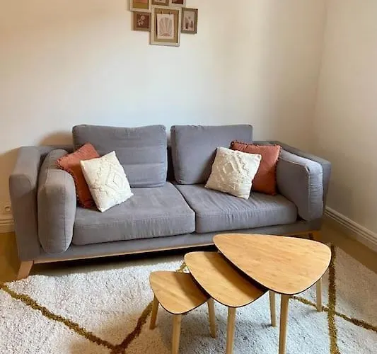 Vaste Appartement Renove - Centre Ville