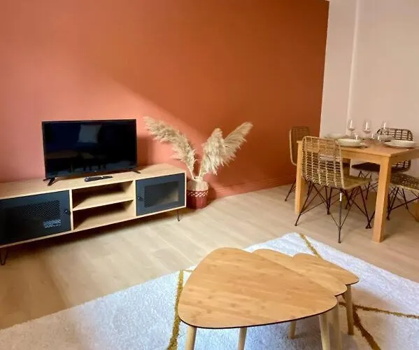 Vaste Appartement Renove - Centre Ville